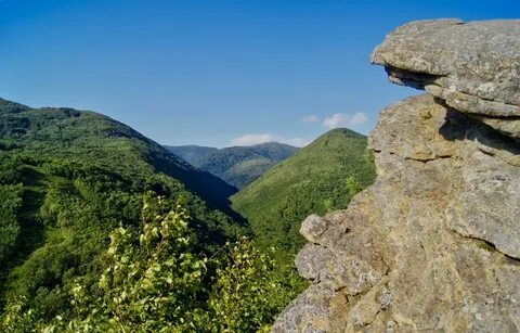 Южно сахалинск гора лягушка