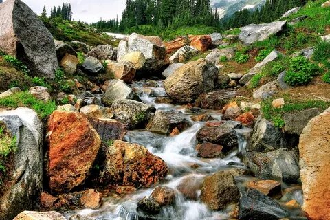 У ручья на плоском большом камне