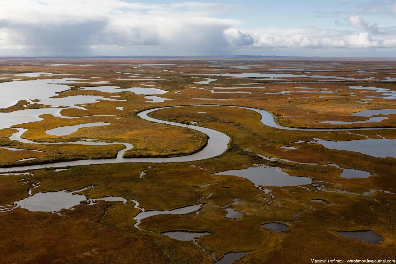 Озеро болото тундра. Лесотундра озера. Вапуск национальный парк канада. Тундра болота. Озеро болото тундра.