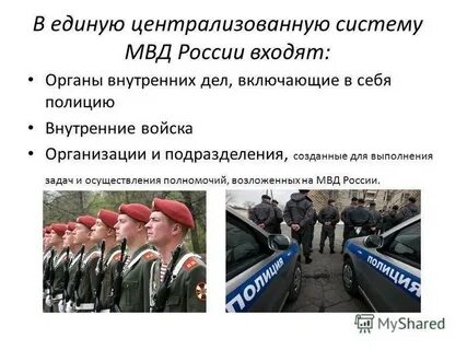 Взаимодействие полиции с органами государственной власти