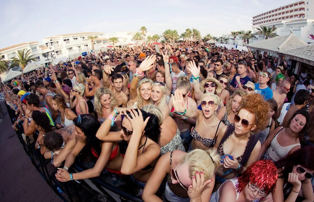 Finding party