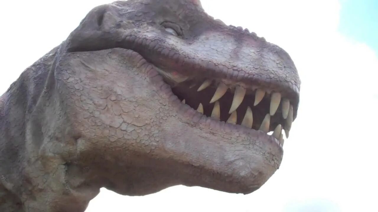 Нигерзавр динозавр. Нигерзавр(nigersaurus). What dinosaur have 500 teeth. Dinosaur has 500 teeth. Dinosaur has 500 teeth.