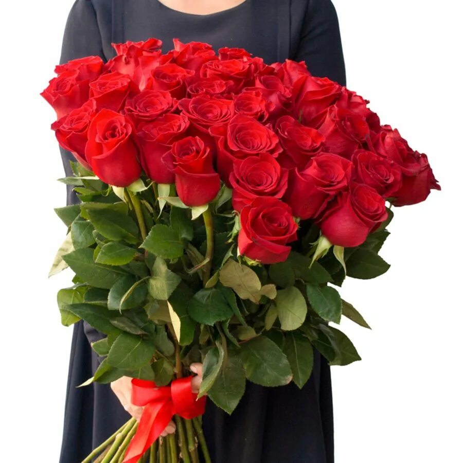 Роза родео. Роза чайно-гибридная ред наоми. Ред наоми red naomi роза. Как выглядит красные розы. Роза ред саншайн.