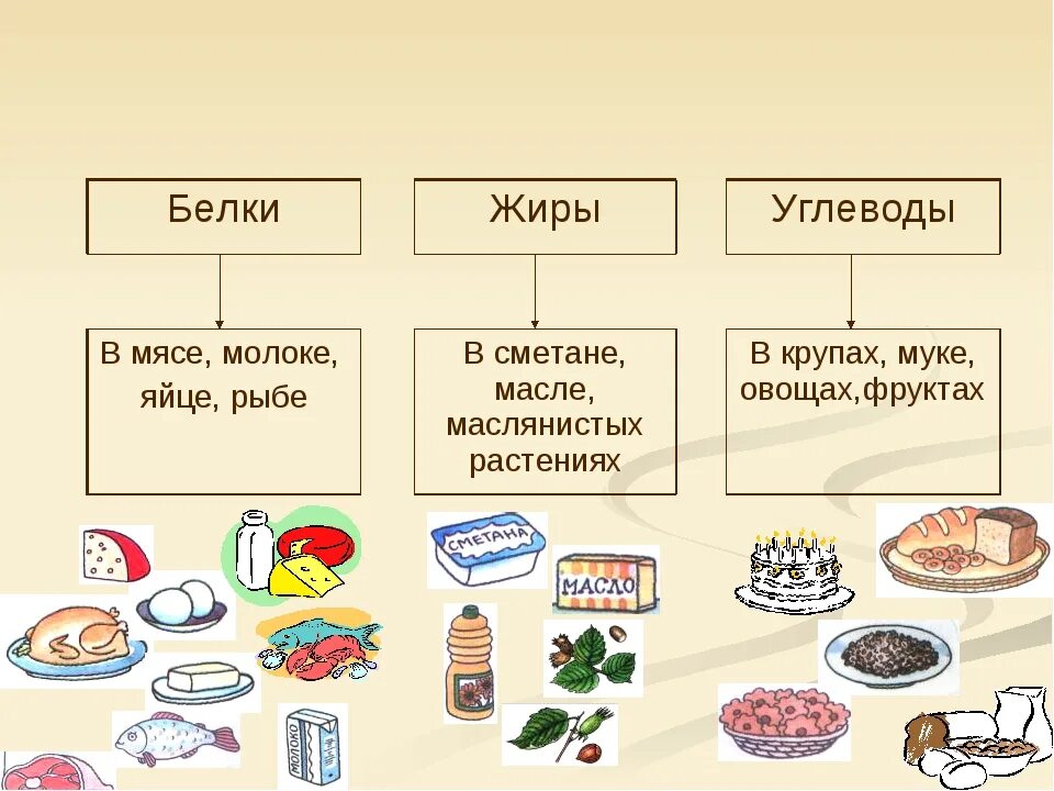 Продукты и т д суть. Состав белков жиров и углеводов кратко. Где содержатся белки жиры и углеводы. Схема правильного питания белки жиры углеводы. Примеры продуктов содержащих белки жиры и углеводы.