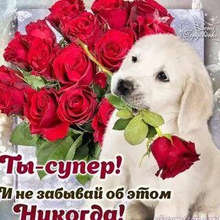 Ты так прекрасна супер просто