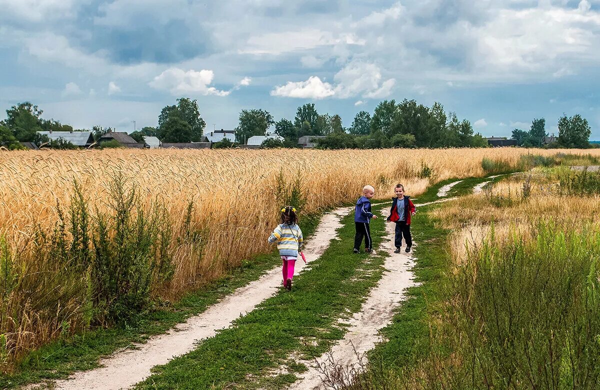 Сельская дорога. Поле деревня. Дорога в деревне. Поле с дорогой. The road in the rye