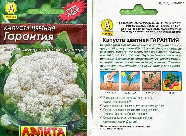 Капуста цветная (сорт ранняя Грибовская 1355). Капуста цветная гарантия описание. Цветная капуста скороспелые сорта. Капуста белокочанная универс f1.