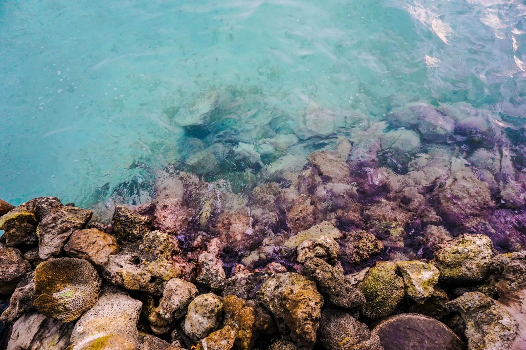 Подводные камни. Подводный камень. Рифы камни вода. Каменный риф.