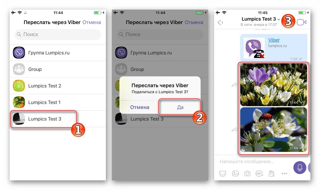 Не отправляется фото в вайбере. Переслать через вайбер. Как отправить фото в вайбере. Скриншот вайбера. Вайбер на айфоне.