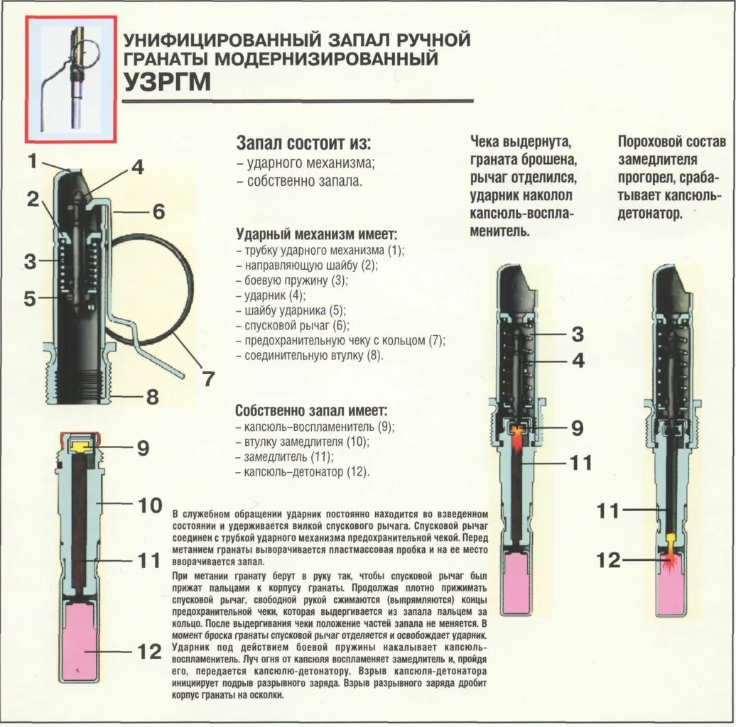 Капсюль детонатор УЗРГМ. Ручные гранаты РГД 33. Запал гранаты УЗРГМ 2. Запал гранаты ф1 устройство.