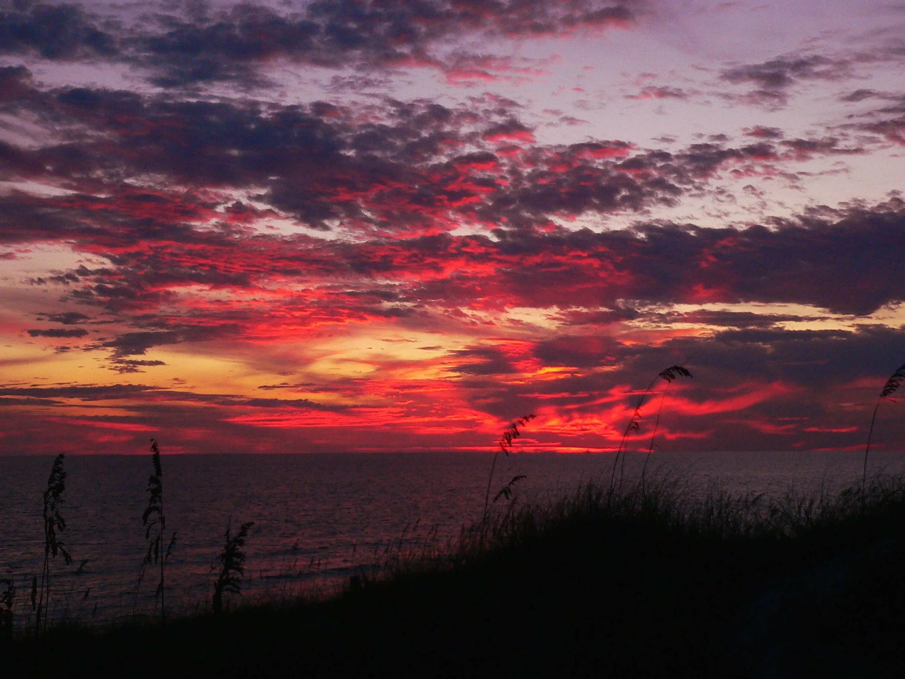 Обои на рабочий стол море. Зорька заря. Закатное поле дерево. Забытые закаты. Утренний рассвет.