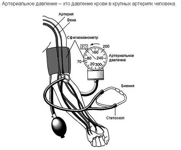 Почему на руках разное артериальное давление. Лабораторная работа измерение артериального давления. Датчик давления тонометра схема. Измерение артериального давления биология 8 класс. Измерение кровеносного давления с помощью автоматического прибора.