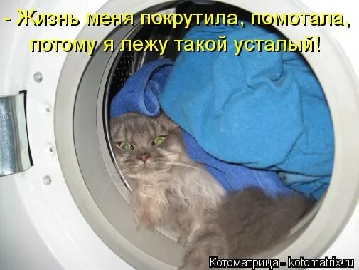 Заходя в чью то жизнь сделай так чтобы там. Конфеты юмор. Жизнь помотала картинки. Помотала меня жизнь с самых ранних. Ну и помотала тебя жизнь.