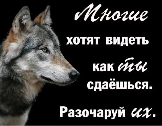 Много захочешь