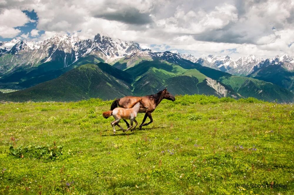 озеро кезеной ам. ат где. ат мінген бала. верхний мустанг королевство. танк ат 15.