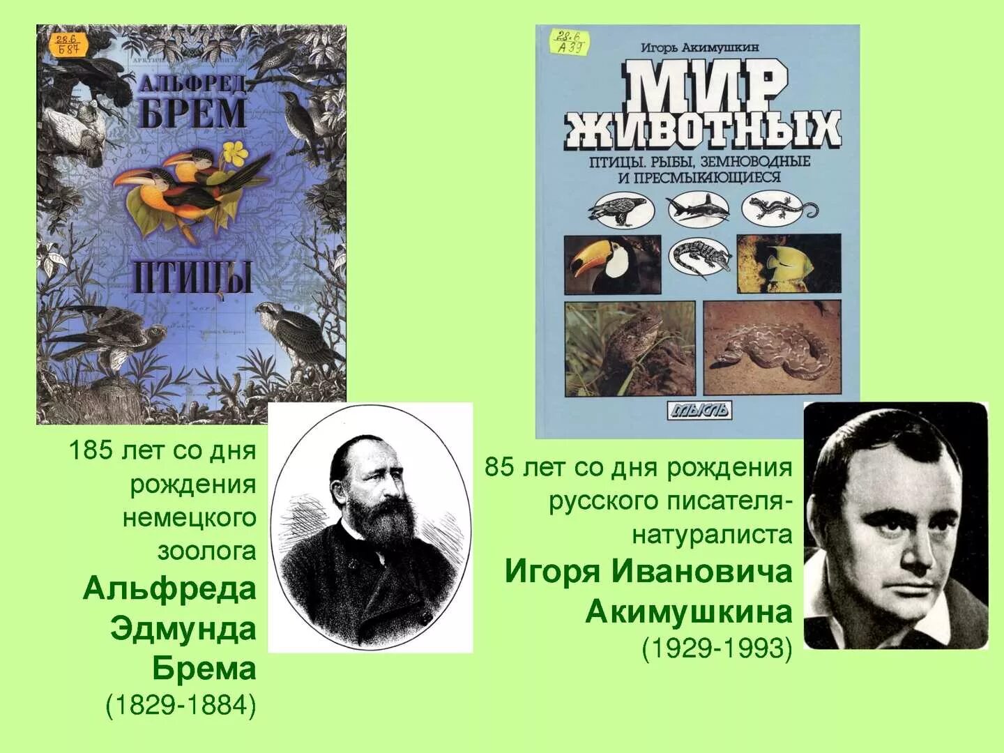 Акимушкин биография. Акимушкин портрет. Акимушкин портрет писателя.