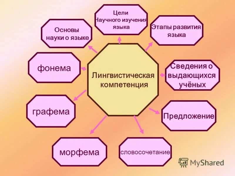 Компетенции по русскому языку. Лингвистическая компетенция это. Языковая компетенция на уроках русского языка. Лингвистические компетенции по русскому языку. Примеры языковой компетентности.