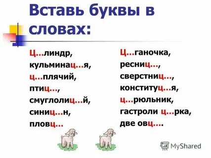 Слова с буквой цы