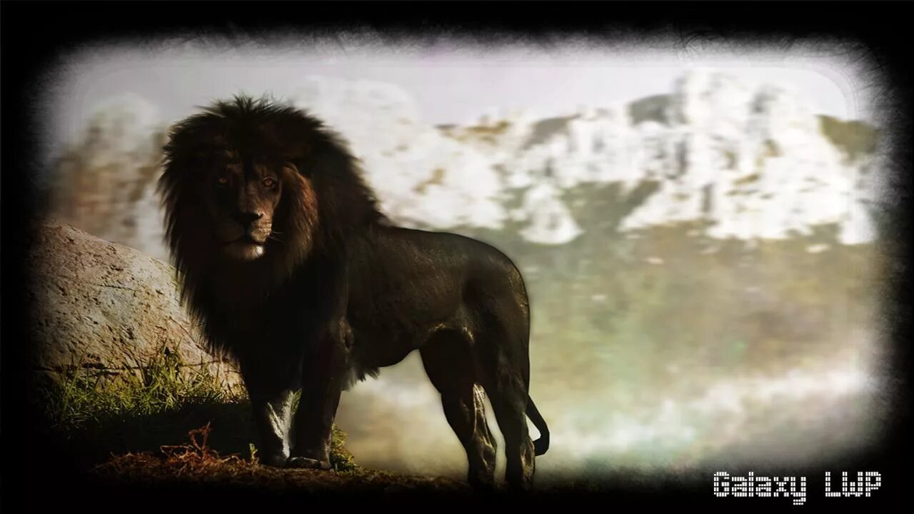 Dj Bugatta альбом Black Driller X Black Lion слушать онлайн бесплатно на Яндекс 