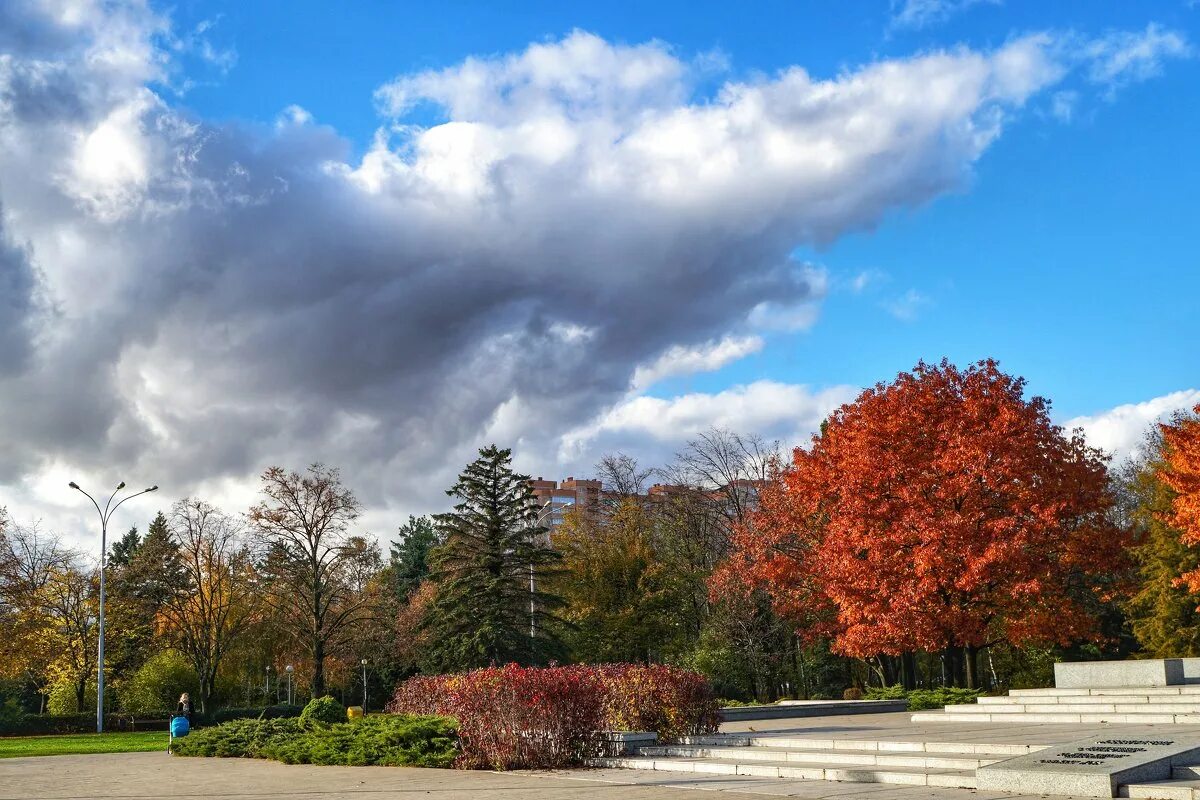 улица красная краснодар осень. кубанская осень. осень в краснодаре. парк краснодар осень. сочи осенью.