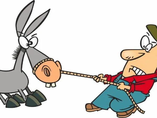 The most stubborn. Stubborn. stubborn ram. stubborn art. stubborn hai.