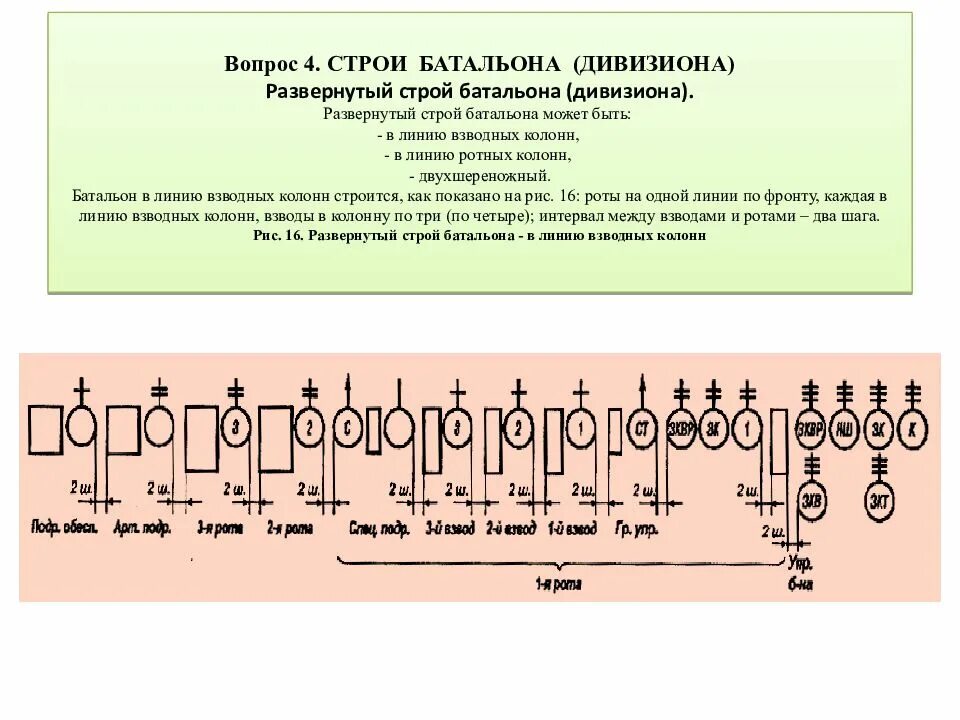 Построение в линию взводных колонн. Строй батальона. Развернутый Строй. Развернутый Строй батальона.