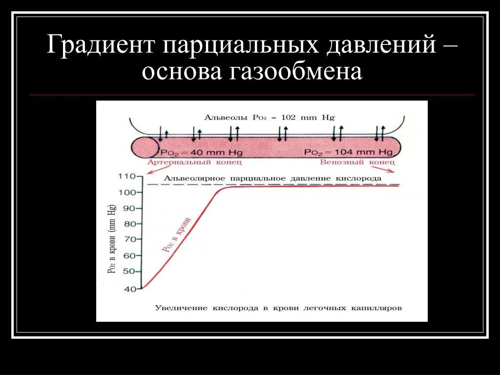 Альвеолярное парциальное давление. Парциальное давление газообмен. градиент парциального давления. парциальное давление крови картинки. газообмен легких градиент парциальных давлений.