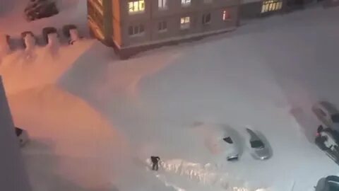 Выпала большая