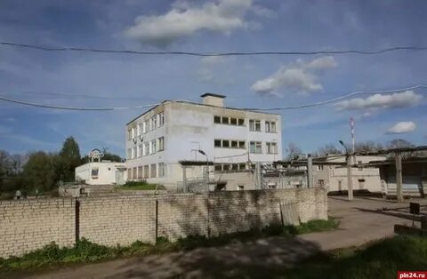 Птицефабрика псковская