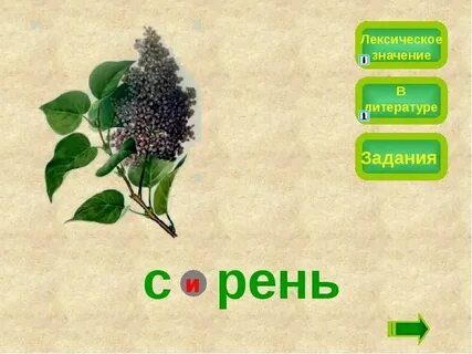 Лексическое значение безответный безответственный