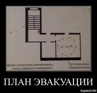 План смешные картинки