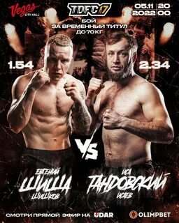 Топ дог 17