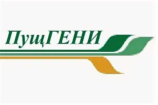 Пущгени