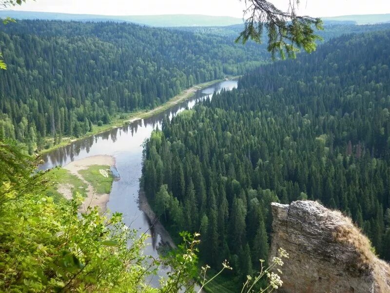 Лес огромное богатство