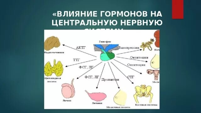 Как влияют гормональные