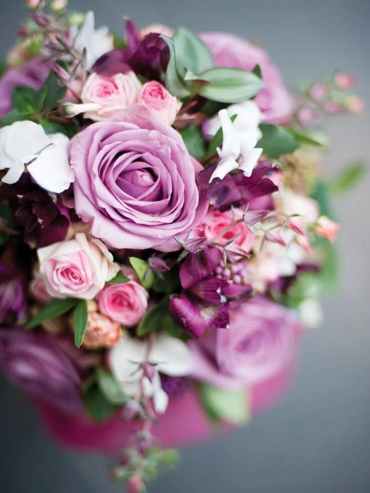 Download wallpaper 1920x1080 flowers, buds, blur full hd, hdtv, fhd, 1080p hd ba