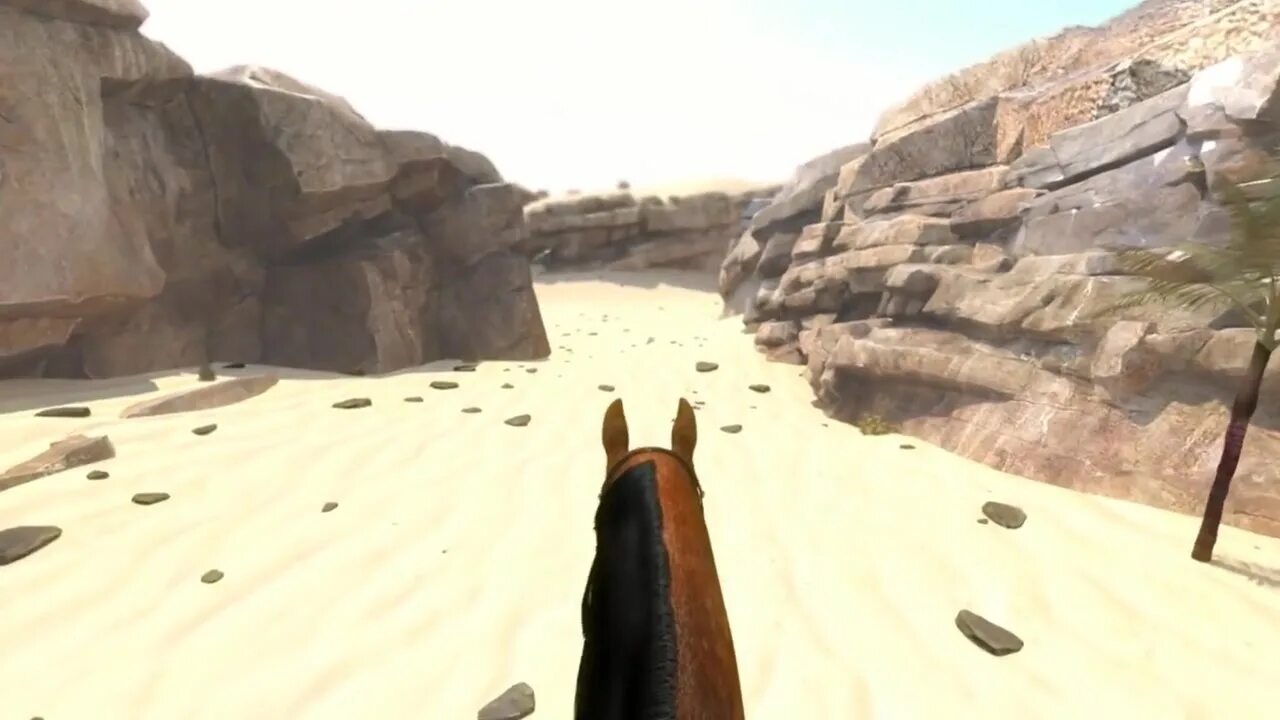 Стефани джустен. Horse. Metal gear solid 5 the phantom pain лошади. Mgs5 лошадь. Стефани джустен.