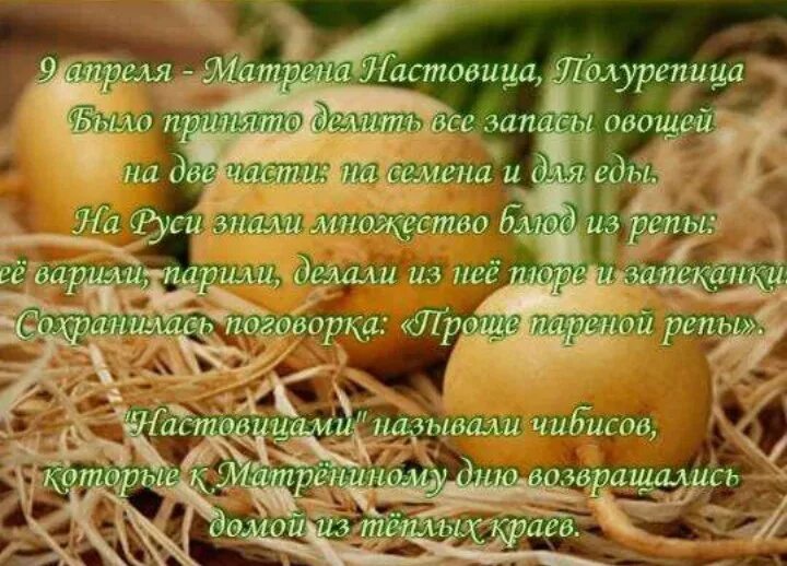 Праздники сегодня в россии 9 апреля. Матрена Настовица 9 апреля. Матрена Настовица (Полурепица). Матрена Настовица Полурепица 9 апреля. Народный праздник Матрена Настовица.