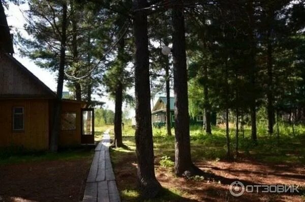 дом отдыха тобольск. пляж медведчиково тобольск. базы отдыха тобольск. база отдыха сказка тобольск. тобольск 1950.