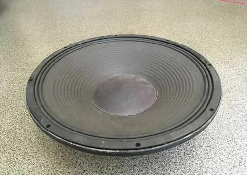 Speaker record