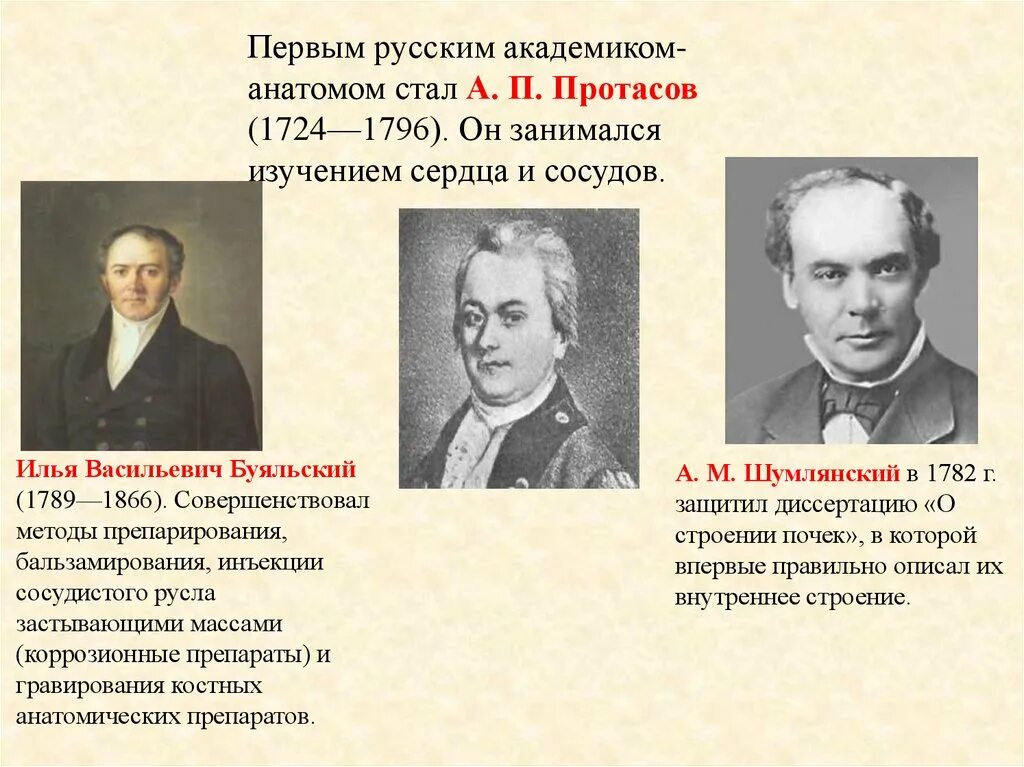 Первый российский академик. Академик а. п. Протасов. А П Протасов вклад в анатомию. Первым русским академиком-анатомом стал.