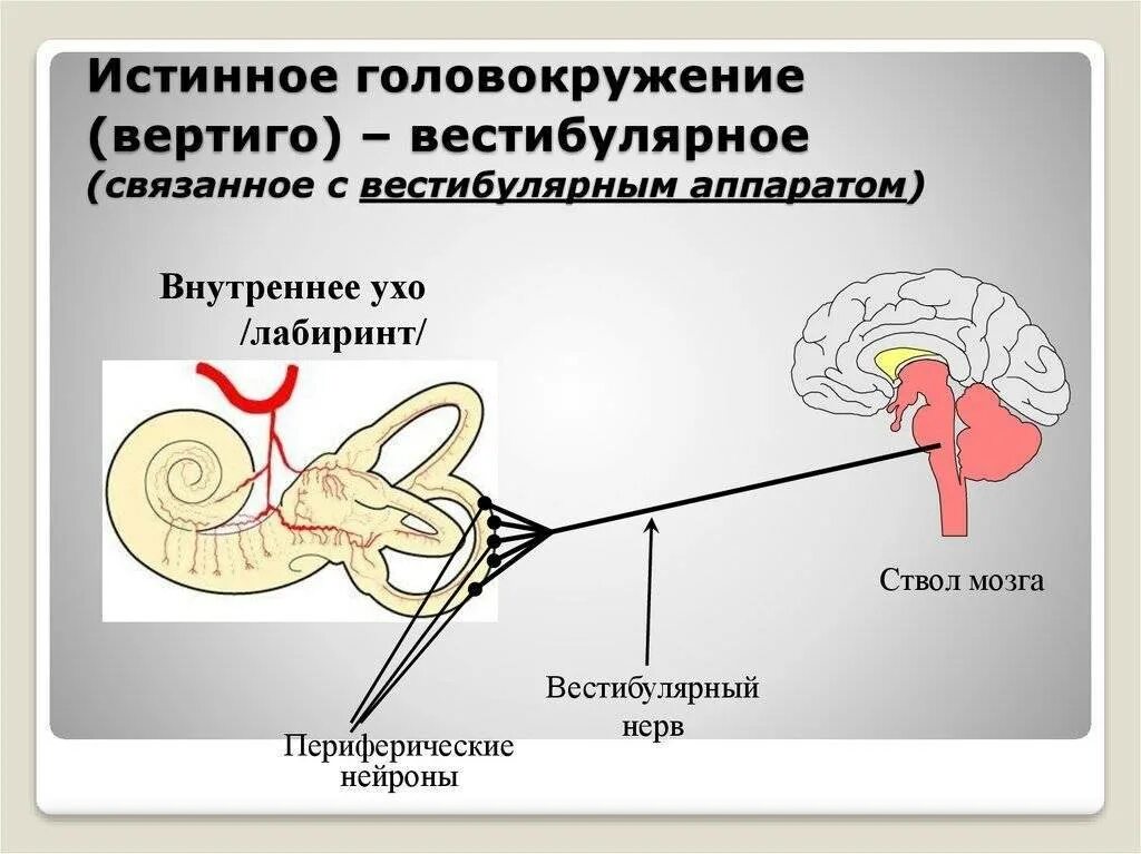 Как проверить ухо при головокружении