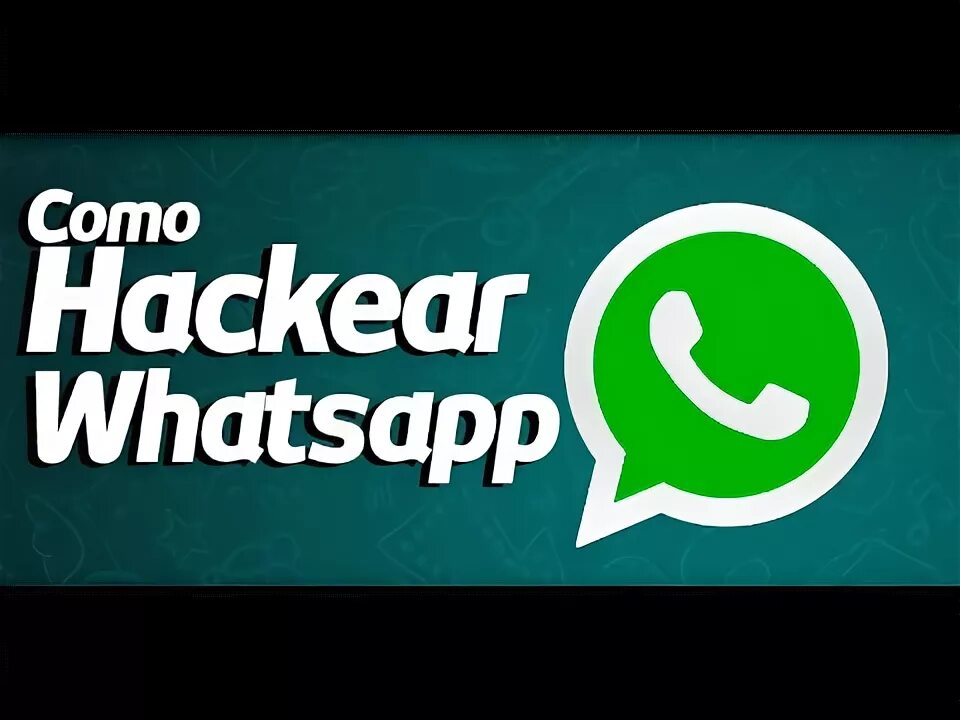 T me hackear польша. T me hackear польша