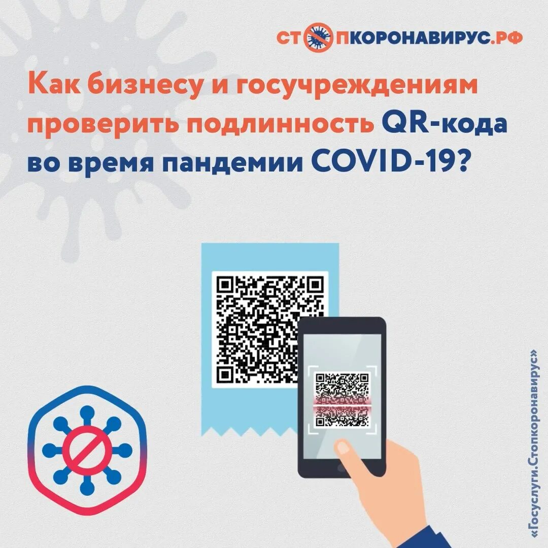 Проверка qr кода налоговой. Сертификат с QR кодом. Распознать QR код. Подлинность по QR коду. QR код для бизнеса.