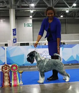 Юный чемпион