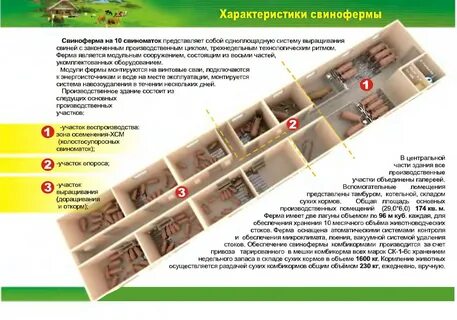 Системы и способы содержания свиней