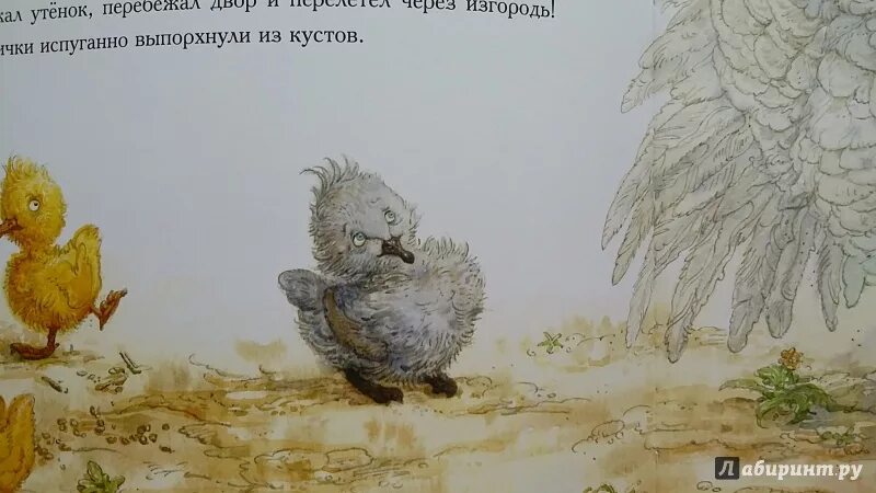 Гадкий утенок иллюстрации. Иллюстрации к книге Гадкий утенок. Рисунок к произведению Гадкий утенок. Гадкий утёнок Ханс иллюстрация. Гадкий утенок сказка читательский