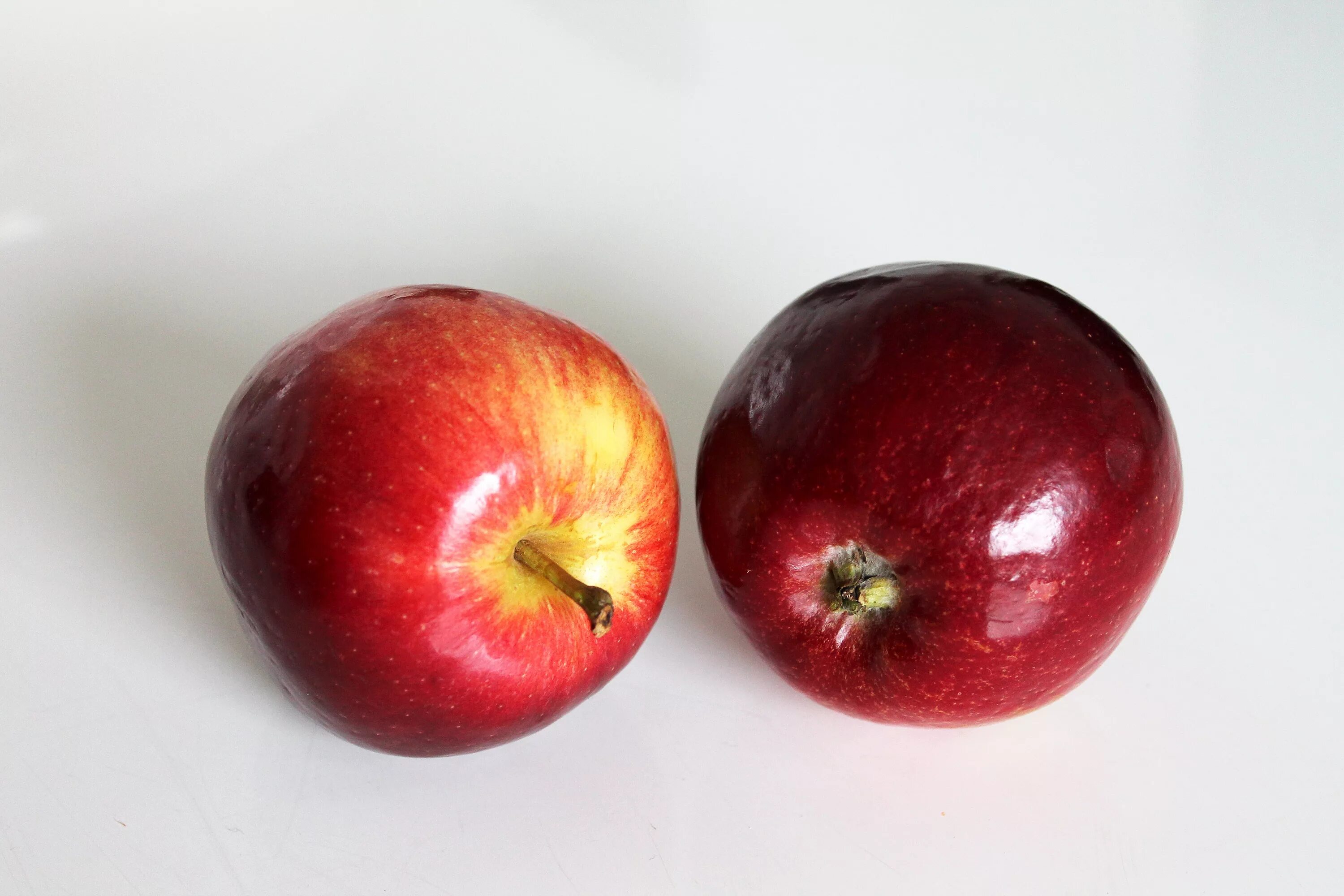 Яблоко в 2 месяца. Яблоки Санред. Два яблока. Бордовые яблоки. Два яблока фото.