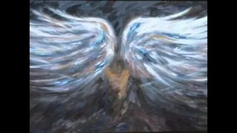 Angel delacruz