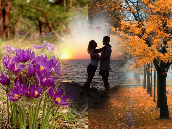 ты помнишь наши встречи в приморском парке. помним картинки. саша ты помнишь наши встречи. саша ты помнишь наши встречи в приморском парке слушать. ты помнишь наши встречи в приморском парке.